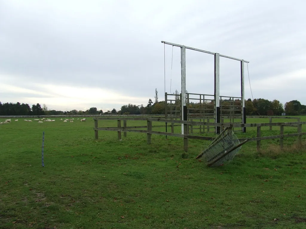 crypto horse betting - racecourse tote board structure